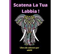 Scatena La Tua Labbia !: Libro da colorare per adulti | Libro con Mandala da Colorare Antistress per rilassarsi | mandala da colorare adulti con ... colorare di 100 pagine di mandala per adulti