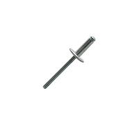 Scell-it HEX-80521-4.816 Caja de 250 Remaches Ciegos de Cabeza Ancha 4,8 x 16 mm - ASL4816