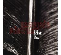 Scene is Now - Magpie Alarm