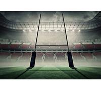 Scenolia Tapiz Déco Póster Estadio de Rugby 3 X 2,70 M | Déco y Fotos de Pared XXL Calidad HD
