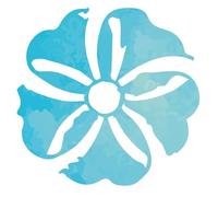 SCENTED GARDEN-EUCALIPTO INCIENSO CONOS