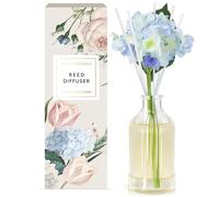 SCENTORINI Difusor de Varillas, Ambientador para Habitaciones Niebla Forestal Difusor con Varillas 200 ML, Ambientador Natural, Jarrón para Habitaciones, Baños, Oficinas, Cuarto de Baño