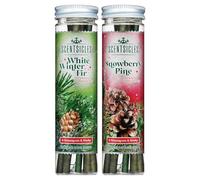 Scentsicles Adornos de Navidad con aroma a abeto de invierno blanco y pino con ganchos, paquete de 2 (2 botellas, 12 varillas en total)