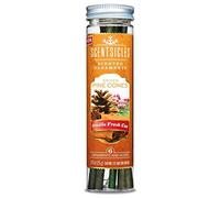 Scentsicles Festive Tree Scents - Conos de pino con especias