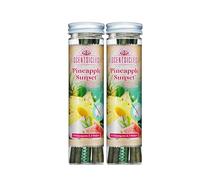 Scentsicles - Palitos perfumados de piña con 2 estacas aromáticas, 2 botellas (12 varillas en total)