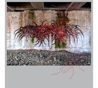 Schacke & Anetha - Looks Are Deceiving [VINYL] [Vinilo]