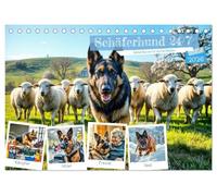 Schäferhund 24/7 - Keine Pause für echte Helden (Tischkalender 2026 DIN A5 quer), CALVENDO Monatskalender: 12 Monate voller Action, Instinkt und Loyalität