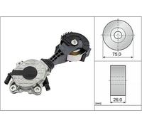 Schaeffler INA Brazo tensor, correa poli V para DS: DS4, DS3, DS7, DS5, DS9 & PEUGEOT: 207, 308, Partner, 5008, 3008, 508, 208, 408 (Ref: 534 0425 10)