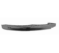 Schaeffler INA Carril de deslizamiento, cadena de distribución para VOLKSWAGEN: Golf Cabriolet, Tiguan, Eos, Golf, Polo, Jetta (Ref: 552 0181 10)