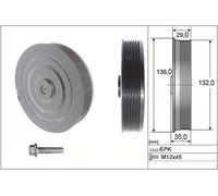 Schaeffler INA Kit poleas, cigüeñal para RENAULT: Kangoo, Mégane Classic, Laguna, Mégane, Clio, Master, Mégane Scénic (Ref: 544 0009 20)