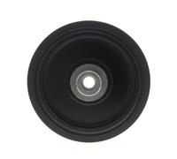 Schaeffler INA Polea, cigüeñal para BMW: Série 3, Série 1, Série 5, X3 (Ref: 544 0082 10)