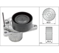 Schaeffler INA Tensor de correa, correa poli V para FIAT: Talento & MERCEDES-BENZ: MARCO POLO, Vito RENAULT: Mégane (Ref: 534 0624 10)