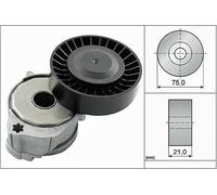 Schaeffler INA Tensor de correa, correa poli V para FORD: S-Max, Mondeo & VOLVO: XC 70, V40, S60, V70, XC 60, V60, S80 (Ref: 534 0604 10)