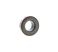 Schaeffler LUK Cojinete de desembrague para PORSCHE: Panamera, Cayenne, Boxster, 911 & AUDI: Q7 & VOLKSWAGEN: Touareg (Ref: 500 0838 10)