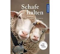 Schafe halten: artgerecht und natürlich