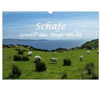 Schafe - soweit das Auge reicht (Wandkalender 2026 DIN A3 quer), CALVENDO Monatskalender: Schafe von Klein bis Groß