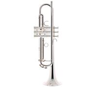 "Schagerl ""1961"" Bb-Trumpet B2N S"