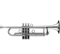 Schagerl James Morrison Trp. JM2-S