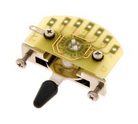 Schaller Megaswitch Version P