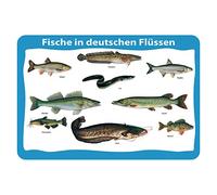 Schatzmix Blechschild Fische Deutschen Flüssen Metallschild Wanddeko 20x30 cm Tin Sign Señal metálica, hojalata, Multicolor, 20 x 30 cm