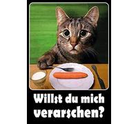 Schatzmix Blechschild Katze Spruch Willst du Mich verarschen Metallschild Wanddeko 20x30 cm Tin Sign Señal metálica, hojalata, Multicolor, 20_x_30_cm