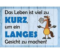 Schatzmix Blechschild Spruch Das Leben ist viel zu Kurz Metallschild 20x30 Deko Tin Sign Señal metálica, hojalata, Multicolor, 20 x 30 cm