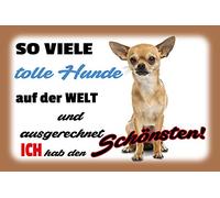 Schatzmix Blechschild Spruch Ich hab den schönsten Hund Metallschild Wanddeko 20x30 cm Tin Sign Señal metálica, hojalata, Multicolor, 20 x 30 cm