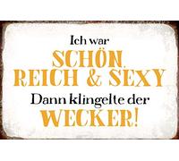 Schatzmix Blechschild Spruch Ich War schön, Reich, Sexy. Dann .Metallschild 20x30 Deko Señal metálica, hojalata, Multicolor, 20 x 30 cm
