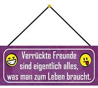 Schatzmix Placa metálica decorativa para pared con diseño de amigos con texto en alemán Leben verrückte Freunde (27 x 10 cm), multicolor
