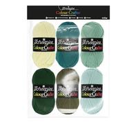 Scheepjes Colour Crafter colour pack 6x50g- 1pc The Veluwe
