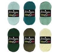 Scheepjes Colour Crafter Paquete de Color 6x50g - 1pc The Veluwe