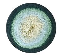Scheepjes Cotton Whirl 1x1000m - 731 Blueberry Swirl