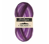 Scheepjes - Scheepjes Arcadia 901 Erica -Resistente Calcetín Hilado - 1x100g