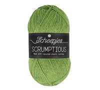 Scheepjes Scrumptious Yarn, poliéster Reciclado 50% acrílico, 326 Matcha Chiffon Cake, 1x100g