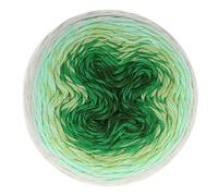 Scheepjes Whirl-Fine Art 653 Fauvism - Ovillo de lana verde y gris (1 x 220 g)