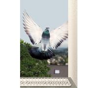 Schellenberg 50778 Juego repelente de aves STANDARD, placa espinosa para ahuyentar animales, blanco