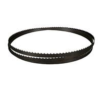 Scheppach - Cinta de sierra (1400 x 6,4 x 0,35 mm, 6 dientes por pulgada, apto para sierra de cinta Scheppach HBS30, cinta de sierra de repuesto