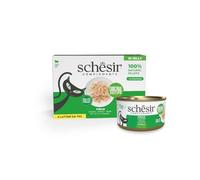 Schesir, Filetes de Pollo en Gelatina, Comida Húmeda Complementaria para Gatos, Receta Original, 100% Natural, 6 latas de 70g