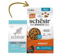 Schesir Maintenance - Pienso para Gatos Adultos - Pescado - Cantidad: 400 g