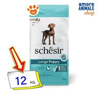 Schesir, pienso para Cachorros de tamaño Grande, Sabor Pollo, croquetas - Formato Bolsa de 12 kg