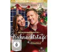 Schicksalhafte Weihnachtstage - Destined At Christmas [Alemania] [DVD]