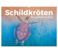 Schildkröten - Die gepanzerten Tiere. (Wandkalender 2026 DIN A2 quer), CALVENDO Monatskalender: Tauchen Sie ein in die tolle Welt der Schildkröten.