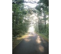 Schimmer: A journal to fuel your inner light