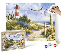 Schipper 609130884 Pintura por números - Paisaje de dunas - Pinturas para adultos, incluye pinceles y pinturas acrílicas, 40 x 50 cm