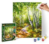 Schipper 609240801 - Pintura por números, Bosque de Abedul, Pinturas para Adultos, Incluye Pinceles y Pinturas acrílicas, 24 x 30 cm