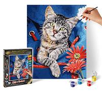 Schipper 609240842 - Pintura por números - Gato en Mochila Pintura para Adultos, Incluye Pinceles y Pinturas acrílicas, 24 x 30 cm