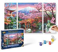 Schipper 609260751 - Pintura por números - Flor de Cerezo en Japón - Pinturas para Adultos, Incluye Pinceles y Pinturas acrílicas, tríptico, 50 x 80 cm
