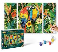Schipper 609260853 - Pintura por números, diseño de Loros en la Selva Tropical, Pinturas para Adultos, Incluye Pinceles y Pinturas acrílicas, tríptico, 50 x 80 cm