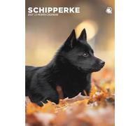 Schipperke Dog Calendario 2027, A3, a todo color, con espiral (CRU)