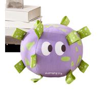 Schirrio del balón de fútbol del juguete para perros, pelota de peluche para perros que - Pelota de juguete para masticar para peluche,Bolas chirriantes para masticar agresivas para juegos interactos